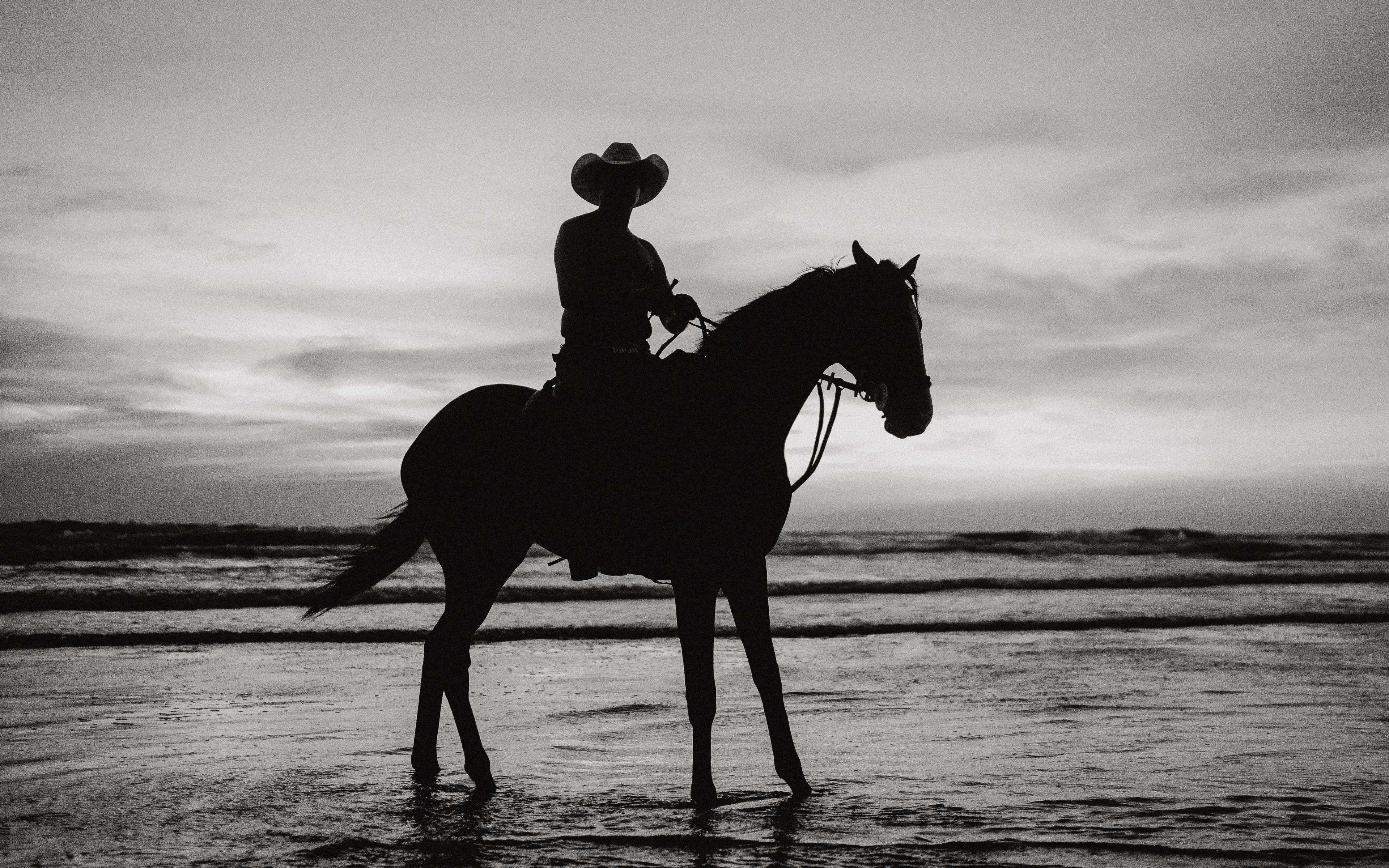 PHOTOGRAPHY AND FINE ART