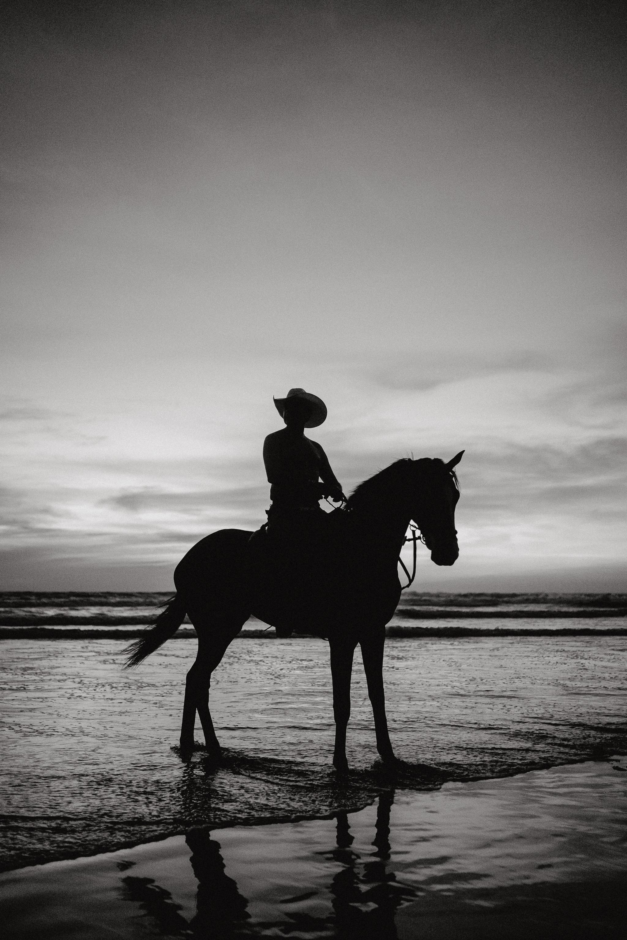 PHOTOGRAPHY AND FINE ART