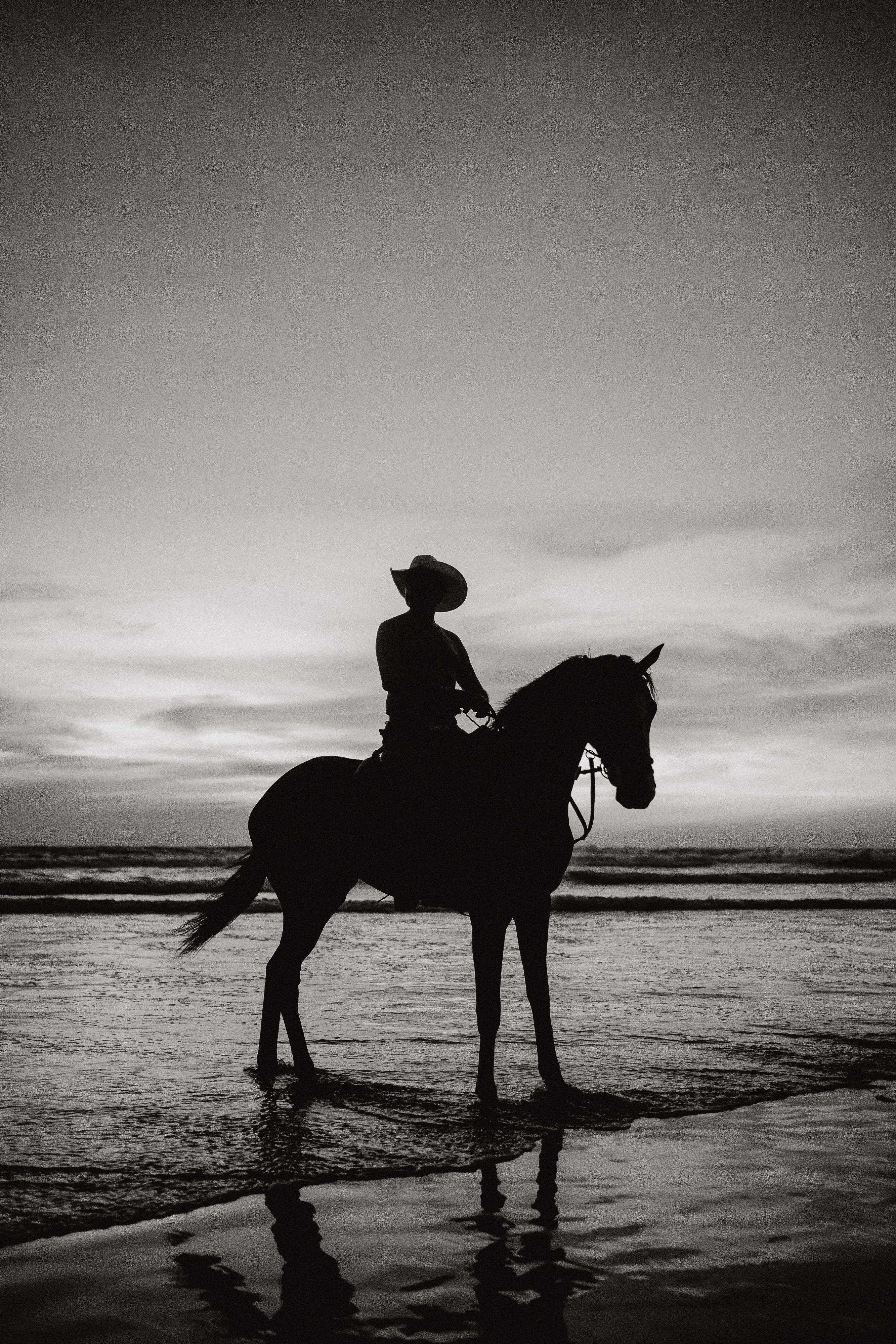 PHOTOGRAPHY AND FINE ART